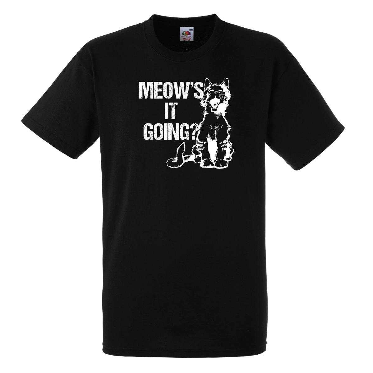 Meow's It Going?