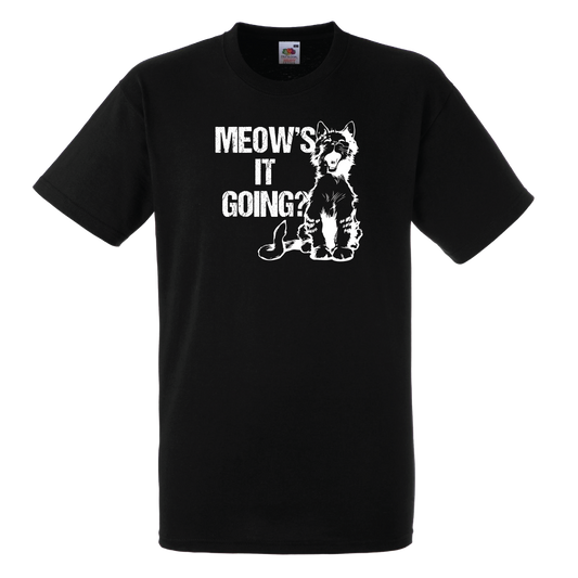 Meow's It Going?